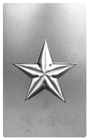 DNSHERT C 430 SL Star Silver